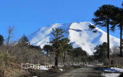 Ruta de los Volcanes